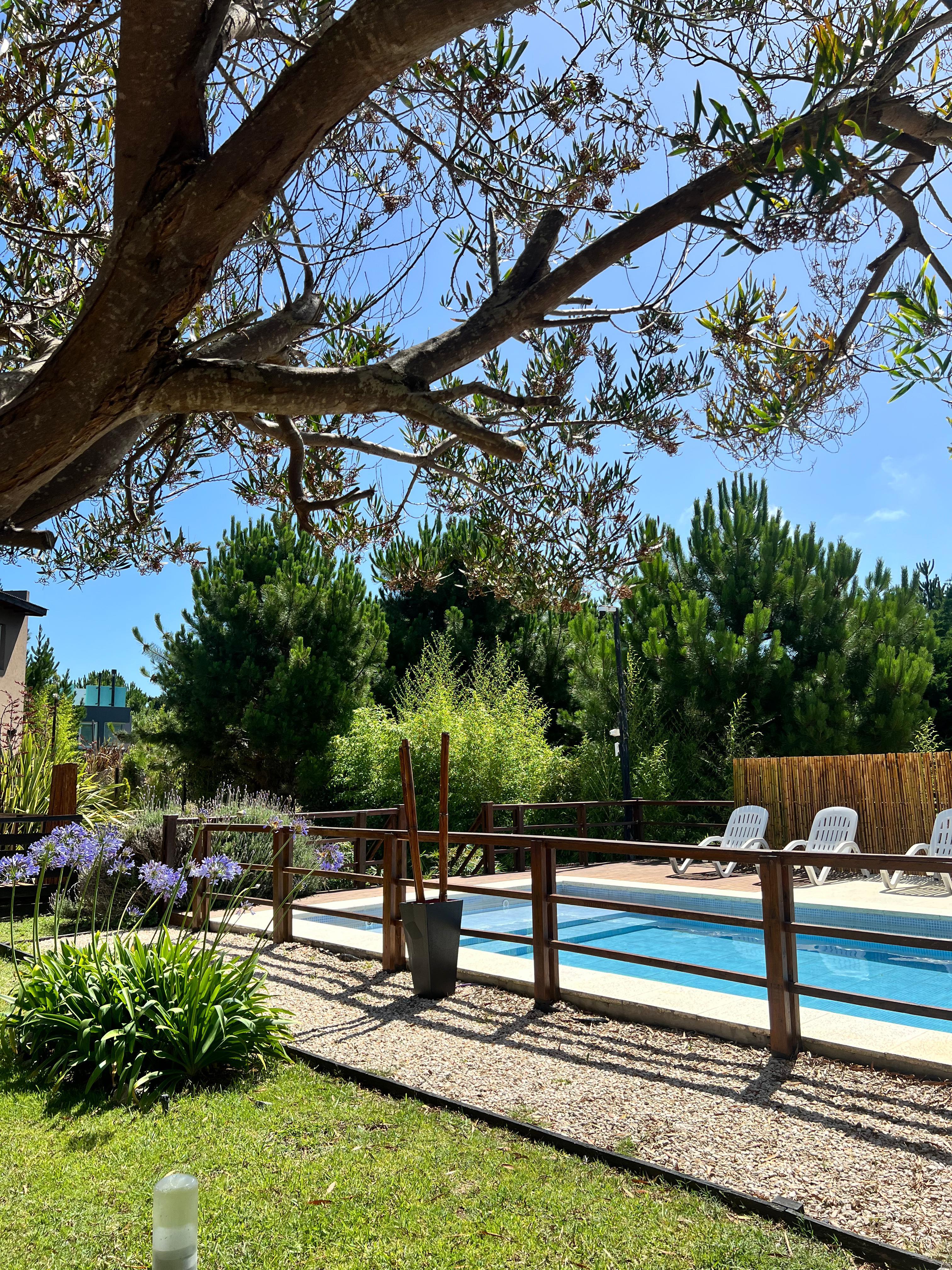 Foto de Piscina